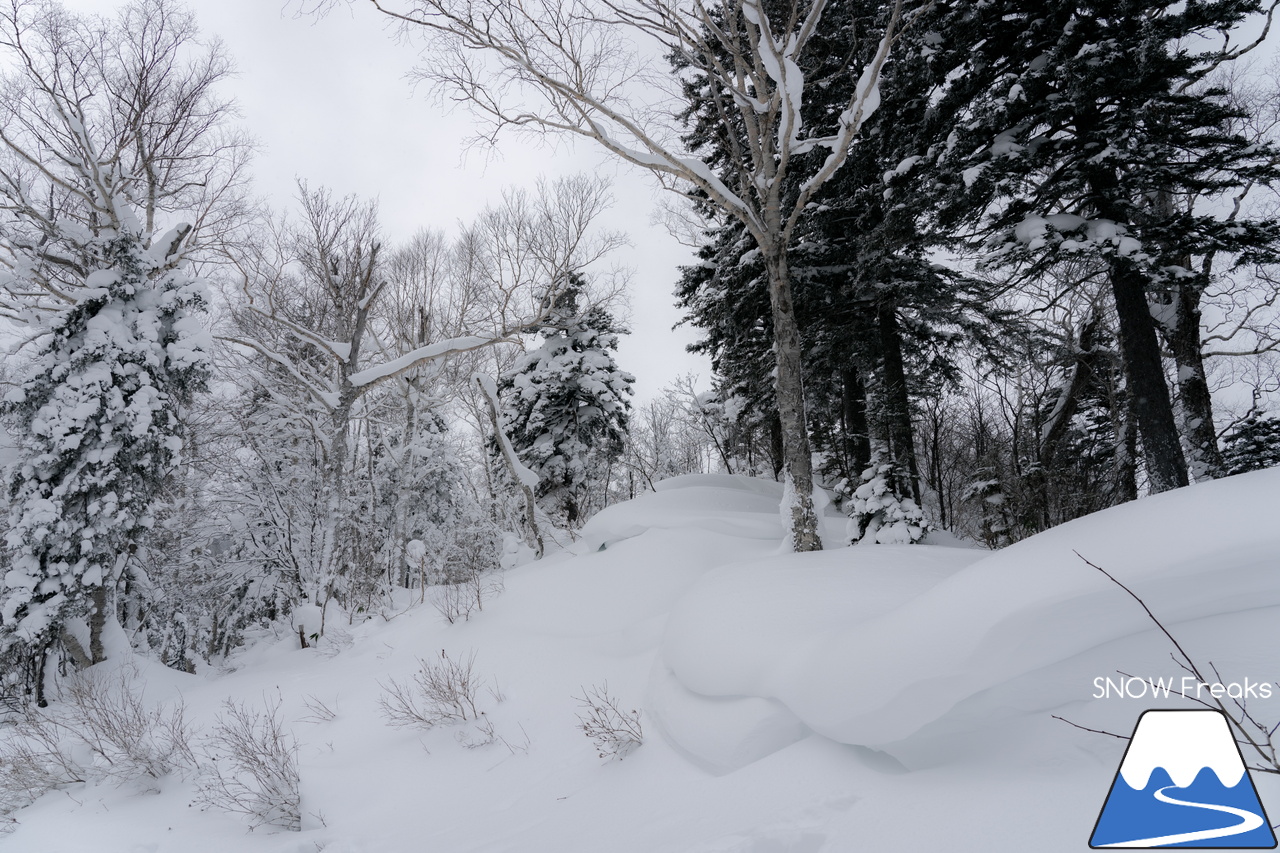 大雪山層雲峡・黒岳ロープウェイスキー場｜北海道ならではの静かな大自然とふわふわのパウダースノーを堪能するなら、のんびり真冬の『黒岳』がおススメです。